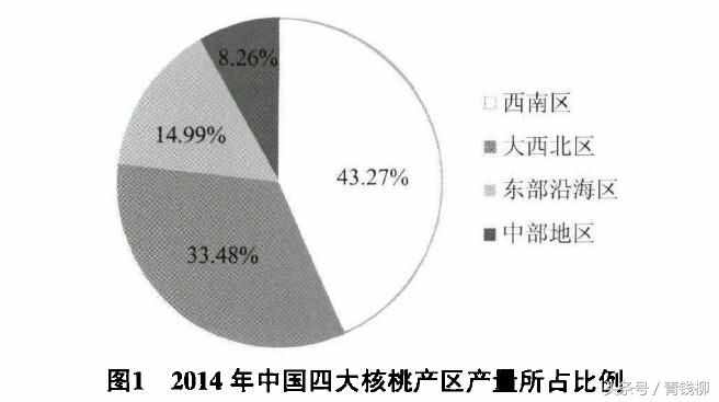 中国核桃网（中国核桃生产概况）